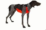 Mendota Skid Plate - Orange