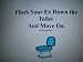 Flush Your Ex Down The Toilet And Move On (breaking up)