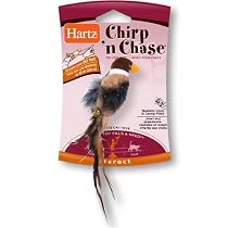 Hartz Chirp n Chase Cat Toy