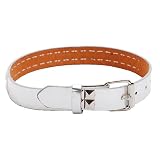 Silver 2 Row Studded Genuine Leather Fashion Belt Girl S-XL (30-44 in)