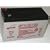 EnerSys Genesis (formerly Yuasa) NP7-12 - 12 Volt/7 Amp Hour Sealed Lead Acid Battery with 0.187 Fast-on Connector