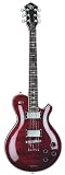 Michael Kelly Patriot Decree MKPDBRD  Electric Guitar Reviews