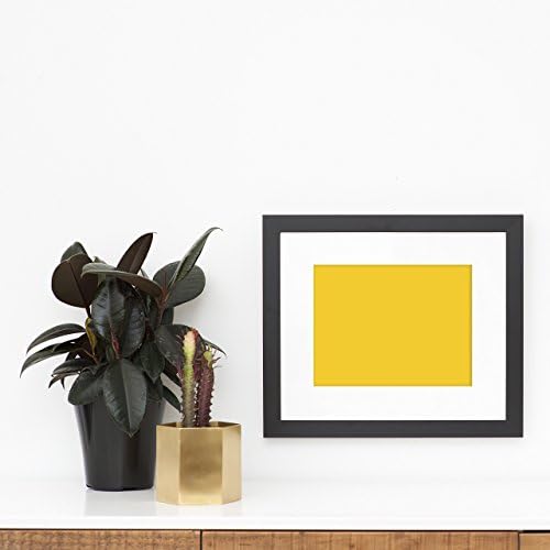 Framed and Matted Pt. Reyes Giclee Print