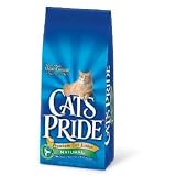 10LB Cat Litter