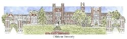 Oklahoma University - Collegiate Scenes - 9" x 18"