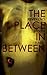 The Place in Between by Steven Rage