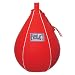 Everlast Vinyl Speed Bag