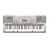 Casio LK270 61 Key Personal Lighted Keyboard with MP3 Connection, USB Port, SD Card Slot, and 570 Tones