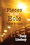 Pieces of the Hole: Short Stories (English and English Edition)