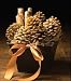 Lightstone - Natural Pine Cone Firestarter - Lake Placid Gift Basket