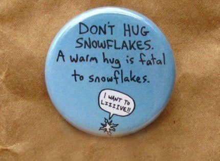 Don't Hug Snowflakes, a Warm Hug Is Fatal to Snowflakes 1.25" Pinback Button Badge Flair
