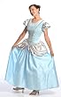DELUXE Cinderella Adult Dress Up Costume