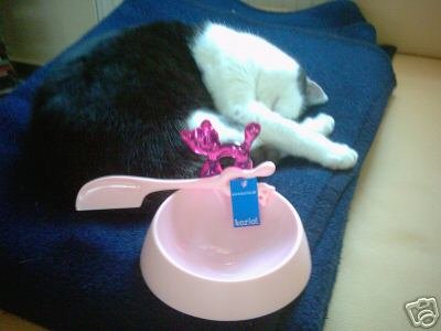 Koziol Katzennapf Futternapf Katze Miaou pink