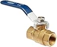 Dixon Valve & Coupling Brass Ball Valve, NPT Female