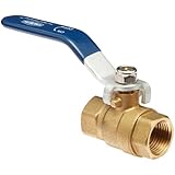 Dixon Valve & Coupling Brass Ball Valve, NPT Female