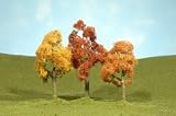 Maple Trees/Autumn, 3-4