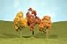 Related Maple Trees/Autumn, 3-4