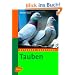 Tauben: Ratgeber Nutztiere