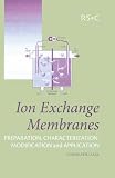 Ion Exchange Membranes: Preparation, Characterization, Modification and Application