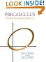 Precalculus: Enhanced with Graphing Utilities (5th Edition) (The Sullivan Enhanced with Graphing Utilities Series)