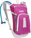 Camelbak Kids Mini-M.U.L.E. Hydration Pack (50-Ounce/91 Cubic-Inch, Raspberry Swirl)