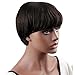 Dreambeauty Virgin Remy Human Hair Short Human Hair Wigs for Black Women Natural Straight