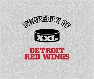 Biederlack NHL Detroit Red Wings Collection Blanket Throw