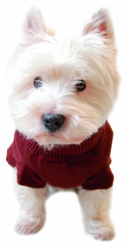 Dogs Kingdom DKROLPULB Rollkragenpullover mit Zopfmuster, braun, Gr. 60 cm R&uuml;ckenl&auml;nge Preisvergleich