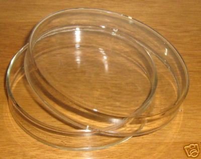 5 glass petri dish 60mm, tissue culture plate, pack of …