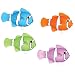 Clownfish Wind-Up