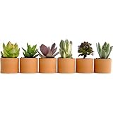 ���i�̏ڍ�