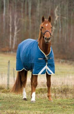 Rambo Original 100g Turnout Blanket
