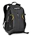 JanSport Grayling Backpack