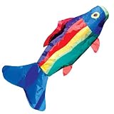 Spectrum Fish 56in. Windsock