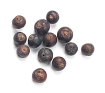 JUNIPER BERRIES, JUMBO, 6 - 11 oz. jars