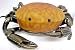 Amber Glass Crab Accent Lamp Bronzed Base