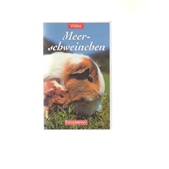 Meerschweinchen [VHS]
