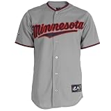 MLB Youth Minnesota Twins Francisco Liriano Grey Short Sleeve 6 Button Synthetic Replica Baseball Jersey Spring 2011  (Grey, Medium)
