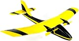 Kitchen & Housewares : Virtually Indestructible RC Plane