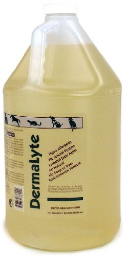 DermaLyte Hypoallergenic Shampoo - Gallon
