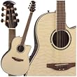 CC244Q Celebrity Acoustic Electric Guitar (Quilt Top)