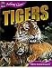 Animal Lives: Tigers Book Gr. 2-8 by Teacher Created Resources®