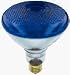 WP 100WBR38BLU FLD Bulb