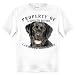 Labrador Retriever Black Property Of Adult T Shirt