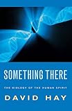 Something there : the biology of the human spirit