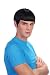 DR SPOCK BLACK WIG Star Trek Space Man 60s Fancy Dress DR SPOCK BLACK WIG Star Trek Space Man 60s Fancy Dress