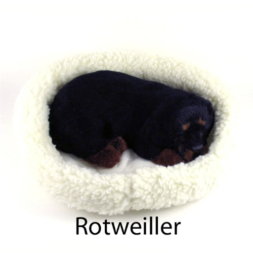Rotweiler Puppy - Pet Mate / Nap Breathing Life Like Sleeping Dog in Bed