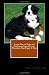 Learn How to Train and Understand your Bernese Mountain Dog Puppy & Dog