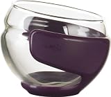 EMSA CHADOO Spherical glass teacup with holder - colour clear/blackbury