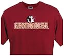 Florida State University Campus Yard Short Sleeve Team Color Tee